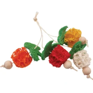 A & E Cage Loofah Bunch of Fruits Small Animal Toy - Pet Home | The Perfect Pet Supplies Shopping Experience