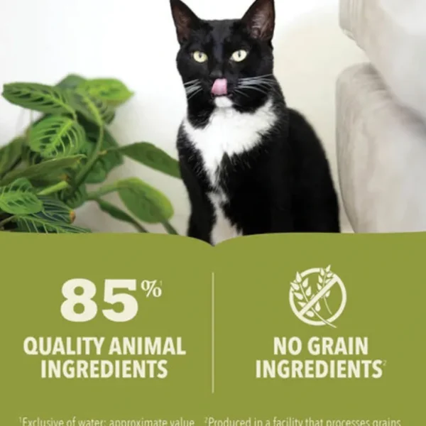 ACANA Premium Pu00e2tu00e9, Beef, Chicken &Tuna Recipe Wet Cat Food - Pet Home | The Perfect Pet Supplies Shopping Experience