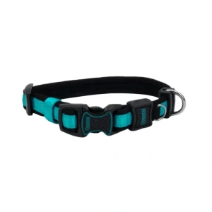 Adjustable Dog Collar, Aqua, Medium - 1" x 14"-20" - Pet Home | The Perfect Pet Supplies Shopping Experience