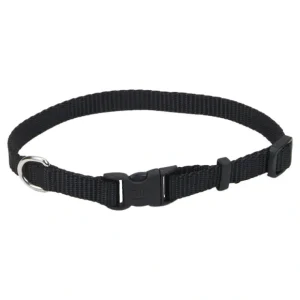 Adjustable Dog Collar with Plastic Buckle, Black, Extra Small - 3/8" x 8"-12" - Pet Home | The Perfect Pet Supplies Shopping Experience