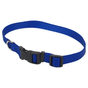 Adjustable Dog Collar with Plastic Buckle, Blue, Medium - 3/4" x 14"-20" - Pet Home | The Perfect Pet Supplies Shopping Experience