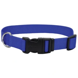 Adjustable Dog Collar with Plastic Buckle, Blue, Small - 5/8" x 10"-14" - Pet Home | The Perfect Pet Supplies Shopping Experience