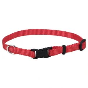 Adjustable Dog Collar with Plastic Buckle, Red, Extra Small - 3/8" x 8"-12" - Pet Home | The Perfect Pet Supplies Shopping Experience