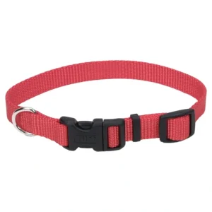 Adjustable Dog Collar with Plastic Buckle, Red, Medium - 3/4" x 14"-20" - Pet Home | The Perfect Pet Supplies Shopping Experience