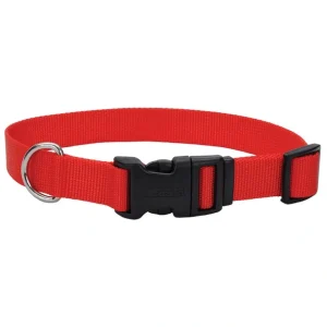 Adjustable Dog Collar with Plastic Buckle, Red, Small - 5/8" x 10"-14" - Pet Home | The Perfect Pet Supplies Shopping Experience