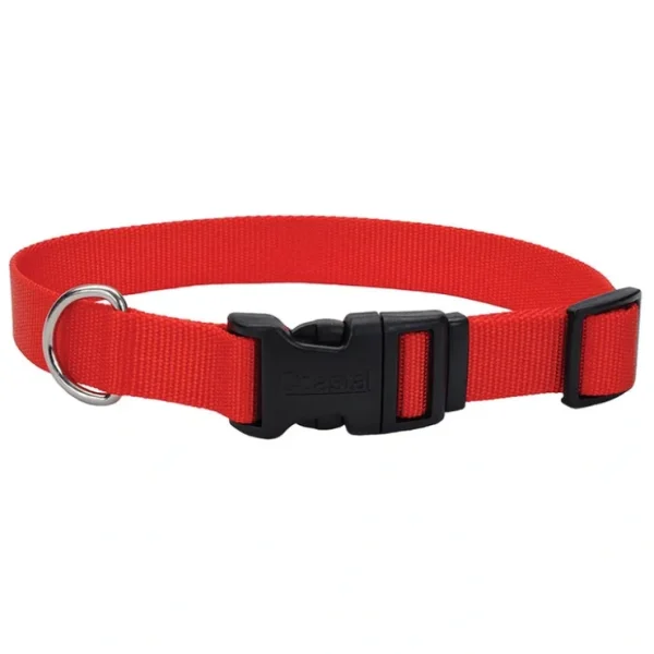 Adjustable Dog Collar with Plastic Buckle, Red, Small - 5/8" x 10"-14" - Pet Home | The Perfect Pet Supplies Shopping Experience