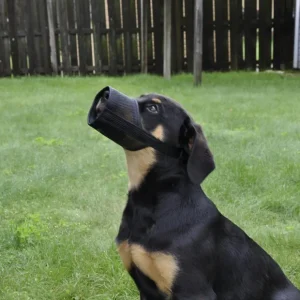 Adjustable Mesh Dog Muzzle, Black - Pet Home | The Perfect Pet Supplies Shopping Experience