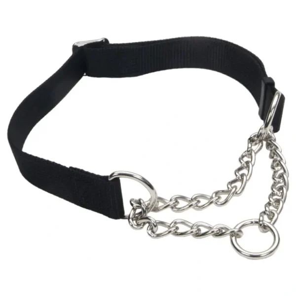 Adjustable Training Collar for Dogs, Black, Large - 1" x 17"-24" - Pet Home | The Perfect Pet Supplies Shopping Experience