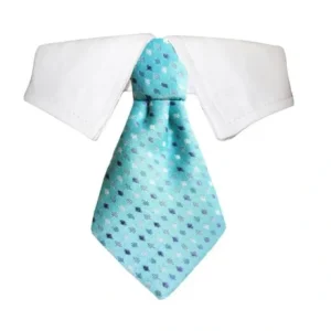 Adrian Shirt Collar - Pet Home | The Perfect Pet Supplies Shopping Experience