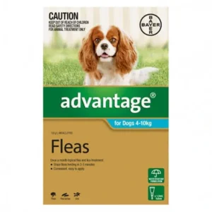 Advantage Aqua Single dose pack for dogs 4-10kg - Pet Home | The Perfect Pet Supplies Shopping Experience