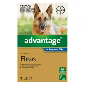 Advantage Blue Single over 25kg Extra Large Dogs - Pet Home | The Perfect Pet Supplies Shopping Experience