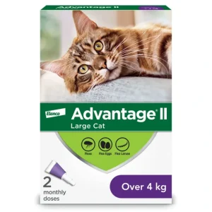 Advantage II, Advantage II - Feline Adult - 4 kg+ - Pet Home | The Perfect Pet Supplies Shopping Experience
