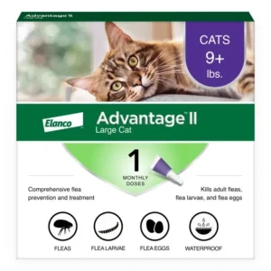 Advantage II Large Cat Flea Treatment & Prevention - Pet Home | The Perfect Pet Supplies Shopping Experience