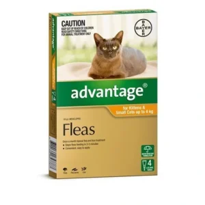 Advantage Orange 4pk Small Cats up to 4kg - Pet Home | The Perfect Pet Supplies Shopping Experience