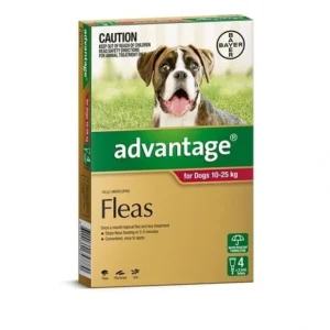 Advantage Red 4pk Dogs 10-25kg - Pet Home | The Perfect Pet Supplies Shopping Experience
