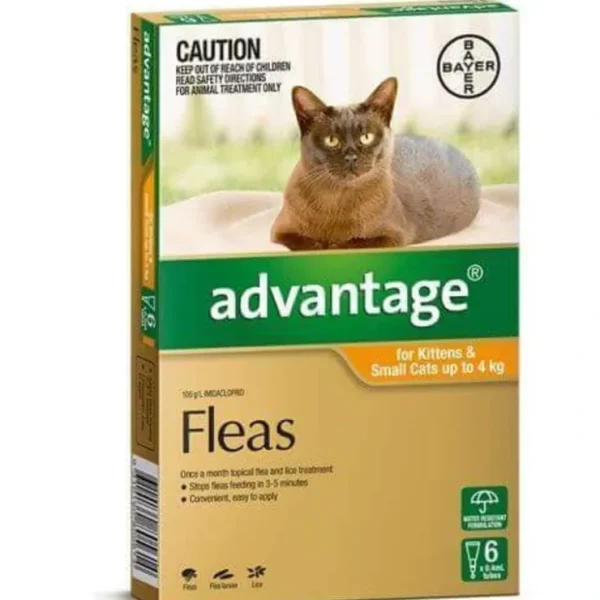 Advantage Small Cats Orange 6 pack Cats up to 4kg - Pet Home | The Perfect Pet Supplies Shopping Experience