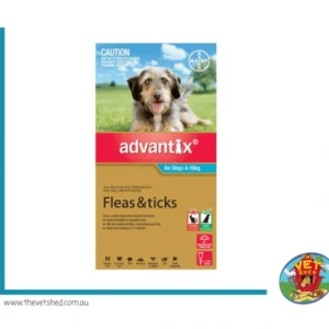 Advantix Medium Dog 4 -10kg Aqua 6pk - Pet Home | The Perfect Pet Supplies Shopping Experience