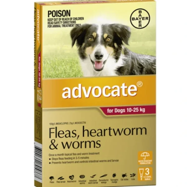 Advocate Dog Red (10-25kg) 6pk - Pet Home | The Perfect Pet Supplies Shopping Experience