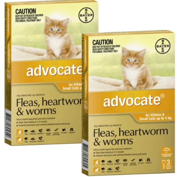 Advocate Small Cat Orange (<4kg) 12pk - Pet Home | The Perfect Pet Supplies Shopping Experience