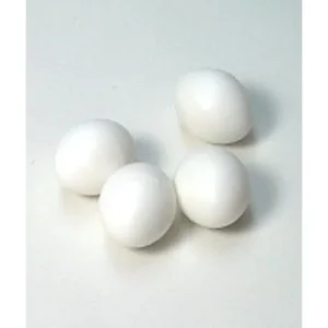 African Grey, Amazon, Eclectus, Galah Fake Dummy Eggs 2 Pack - Pet Home | The Perfect Pet Supplies Shopping Experience