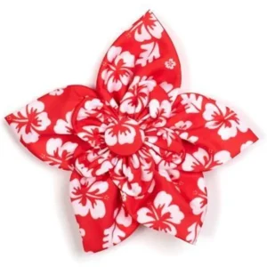 Aloha Flowers - Pet Home | The Perfect Pet Supplies Shopping Experience