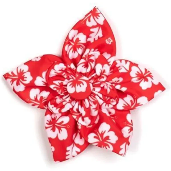 Aloha Flowers - Pet Home | The Perfect Pet Supplies Shopping Experience