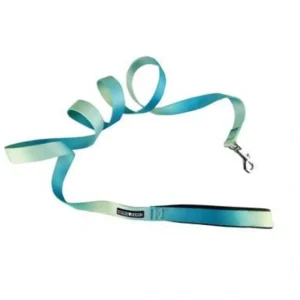 American River Ombre Leash - Aruba Blue - Pet Home | The Perfect Pet Supplies Shopping Experience