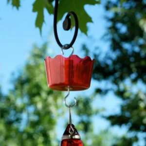 Ant Guard - Pet Home | The Perfect Pet Supplies Shopping Experience
