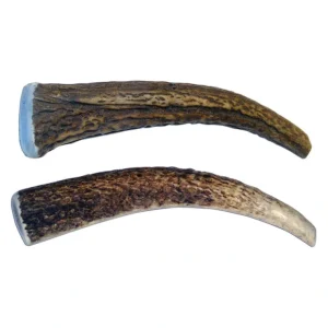 Antler Whole Value Pack - 2 Pk - Pet Home | The Perfect Pet Supplies Shopping Experience