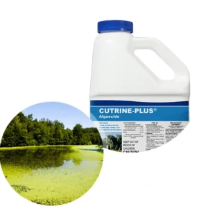 Applied Biochemists Cutrine Plus Algaecide and Herbicide - Pet Home | The Perfect Pet Supplies Shopping Experience
