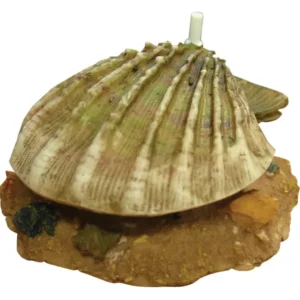 Aqua One Air Operated Clam Ornament - Pet Home | The Perfect Pet Supplies Shopping Experience