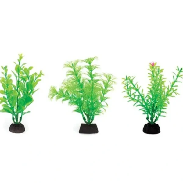 Aquaplant 4in Green 6pc Bag - Pet Home | The Perfect Pet Supplies Shopping Experience