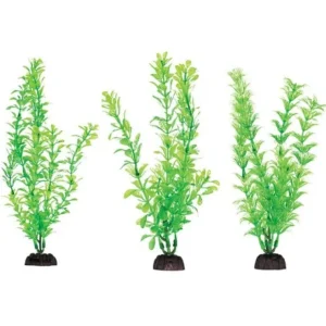 Aquaplant 8in Green 6pc Bag - Pet Home | The Perfect Pet Supplies Shopping Experience