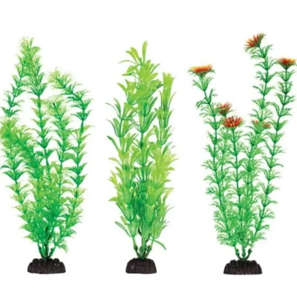 Aquaplant 12in Green 6pc Bag - Pet Home | The Perfect Pet Supplies Shopping Experience
