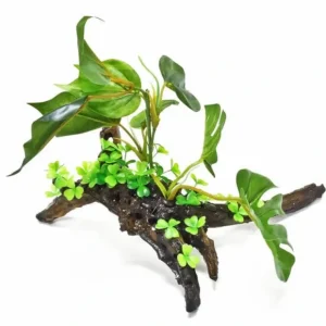 Aquatop Resin Driftwood with Broad Leaf Plastic Plant & Clover - Pet Home | The Perfect Pet Supplies Shopping Experience