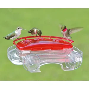 Aspects Jewel Box Window Feeder - Pet Home | The Perfect Pet Supplies Shopping Experience