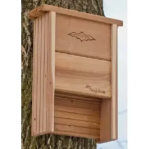 Audubon Cedar Bat Shelter (4.25D X 12W X 15.9H) - Pet Home | The Perfect Pet Supplies Shopping Experience