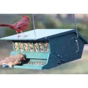Audubon Original Birds Delight Squirrel-Resistant Feeder - Pet Home | The Perfect Pet Supplies Shopping Experience