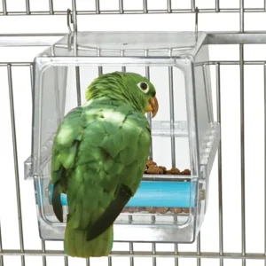 Awesome Parrot Cafe Tidy Seed Feeder - Pet Home | The Perfect Pet Supplies Shopping Experience