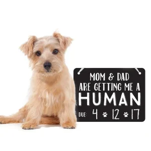 Baby Announcement Chalkboard Photo Prop Sign - Pet Home | The Perfect Pet Supplies Shopping Experience