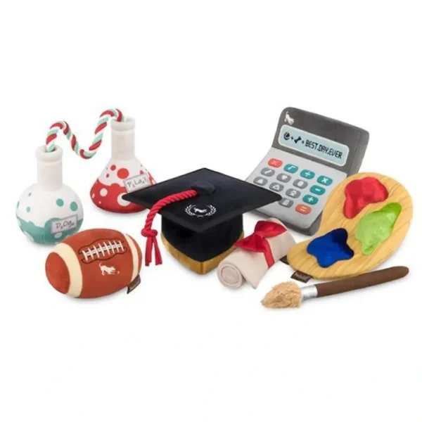Back to School Plush Toy Collection - Pet Home | The Perfect Pet Supplies Shopping Experience