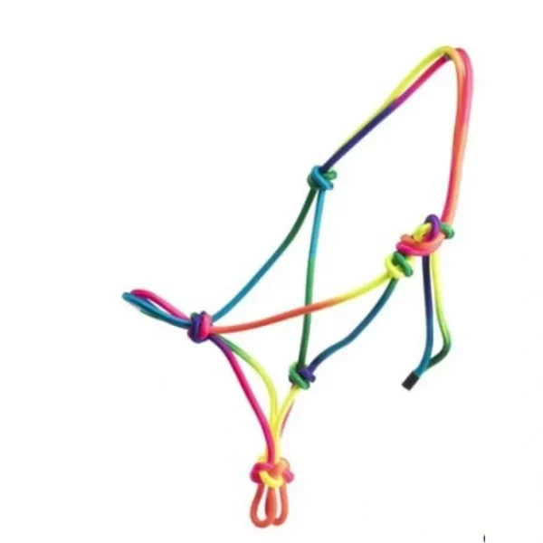 Bambino Knotted Halter Rainbow COB/FULL - Pet Home | The Perfect Pet Supplies Shopping Experience