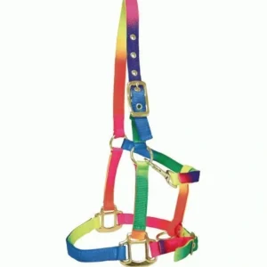 Bambino Rainbow Halter FULL - Pet Home | The Perfect Pet Supplies Shopping Experience
