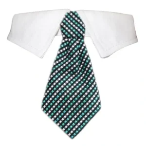 Benjamin Shirt Collar - Pet Home | The Perfect Pet Supplies Shopping Experience