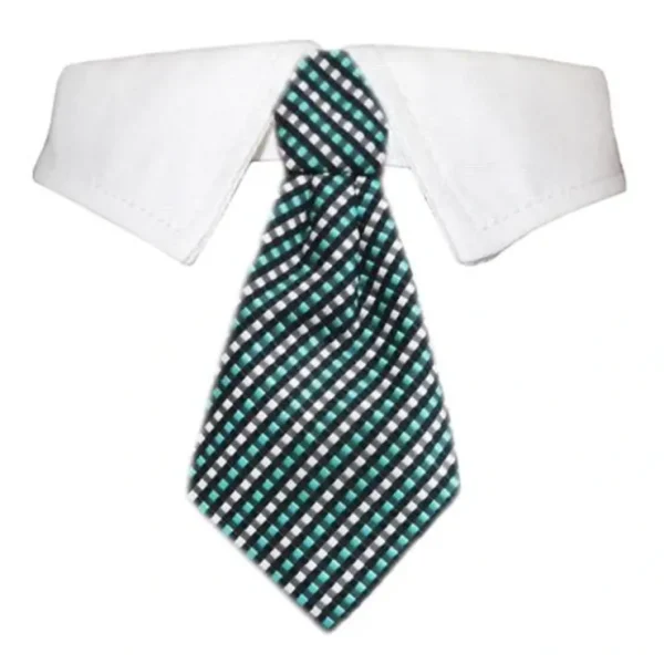 Benjamin Shirt Collar - Pet Home | The Perfect Pet Supplies Shopping Experience