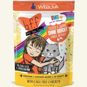 B.F.F. Oh My Gravy (OMG) - Shine Bright! - Pet Home | The Perfect Pet Supplies Shopping Experience