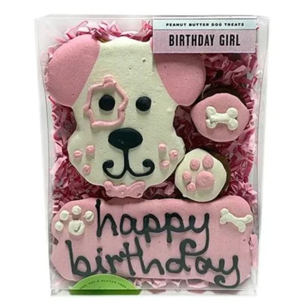 Birthday Girl Box - Pet Home | The Perfect Pet Supplies Shopping Experience