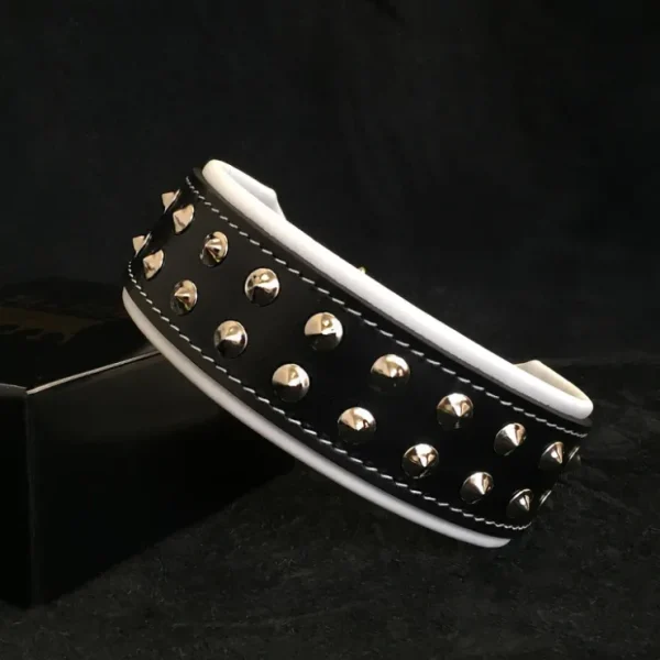 "Boston" collar - Pet Home | The Perfect Pet Supplies Shopping Experience