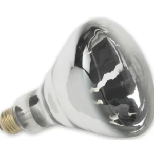 250BR40/1CLR 250W HEAT LAMP - Pet Home | The Perfect Pet Supplies Shopping Experience