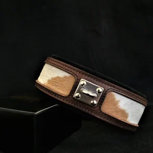 "Buffalo" collar - Pet Home | The Perfect Pet Supplies Shopping Experience